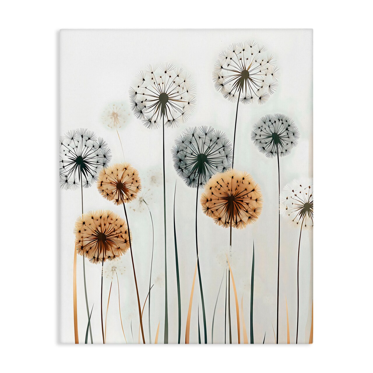 Stupell Industries Rustic Dandelions Growth Canvas Wall Art, design by Creative Studio